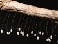 Lacewing eggs